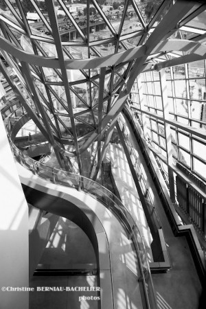 Lyon-Musée des Confluences